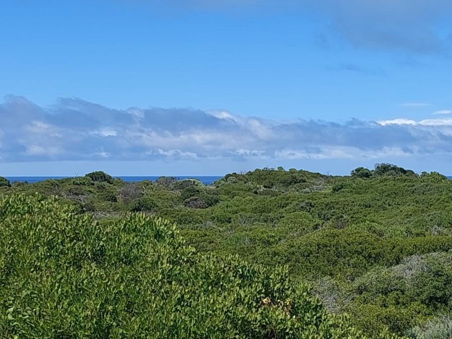 0 Bedroom Property for Sale in Agulhas Western Cape